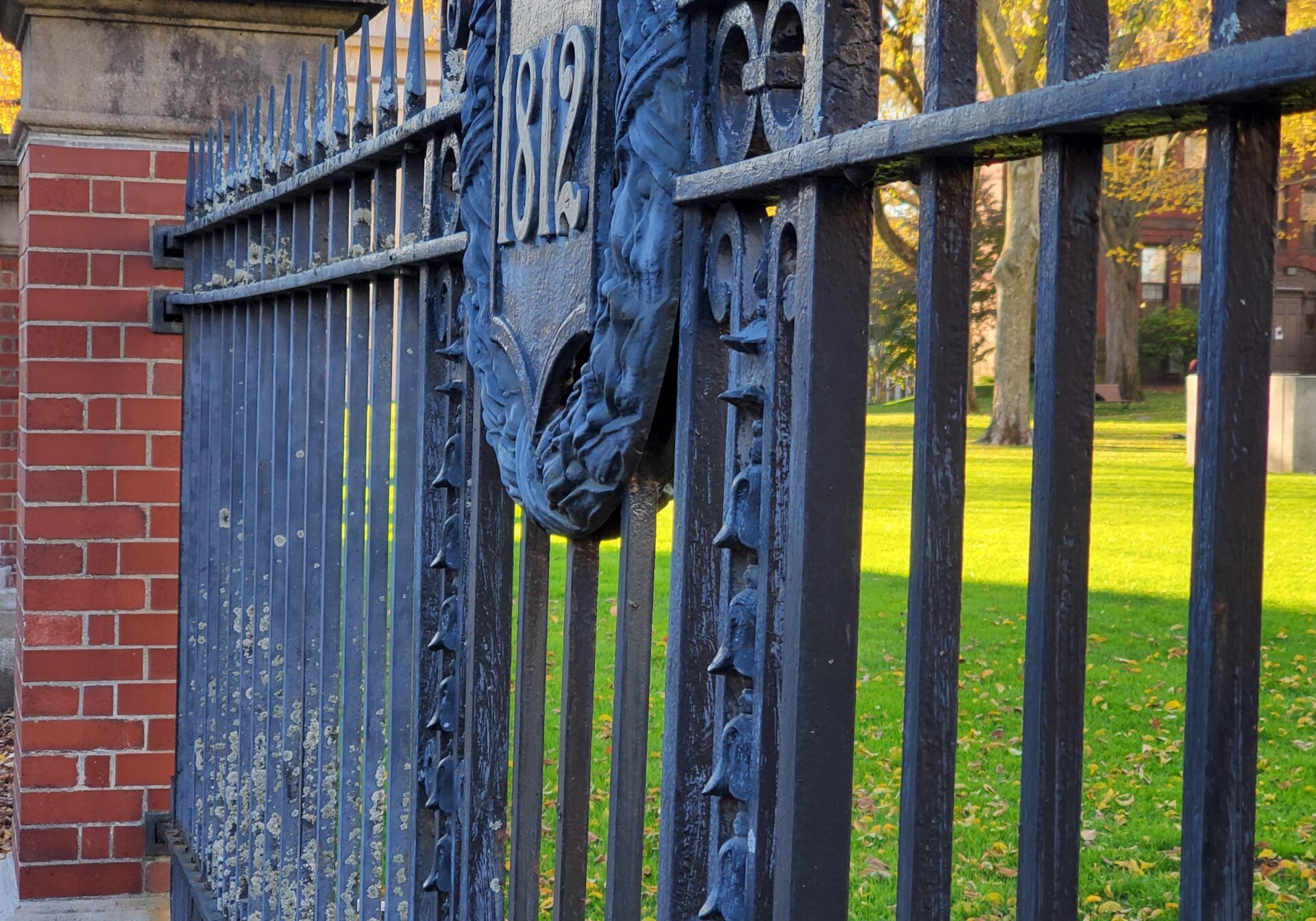 Brown Fence